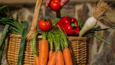 a hand holding a carrot over a basket of vegetables