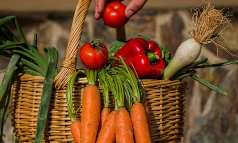 a hand holding a carrot over a basket of vegetables