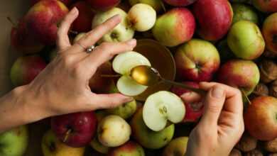 a person holding a bunch of apples