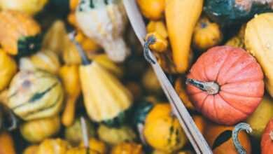 macro photography of fruits