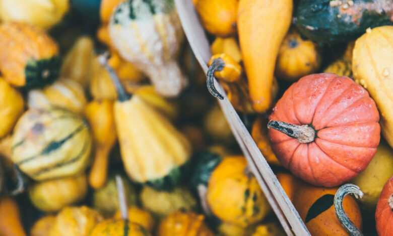 macro photography of fruits