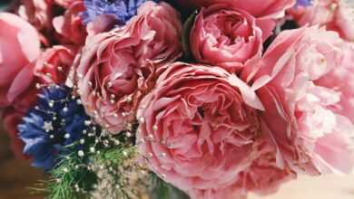 bouquet of pink carnation in glass vase