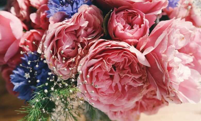 bouquet of pink carnation in glass vase