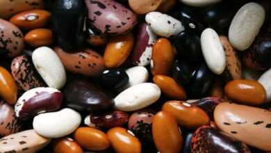 beans, legumes, food