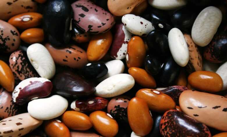 beans, legumes, food