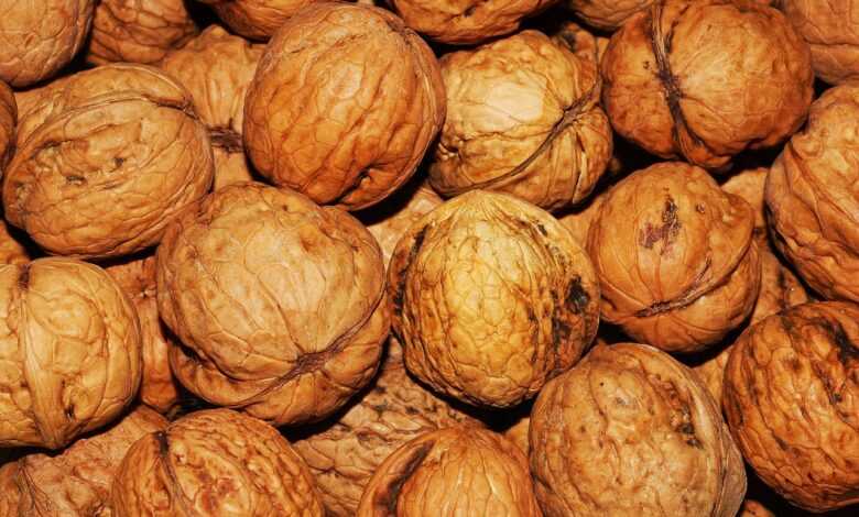 walnuts, nuts, food