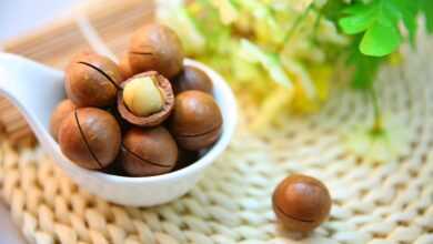 macadamia nuts, nuts, food