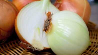 onion, half, raw