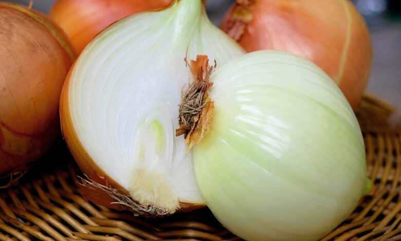 onion, half, raw