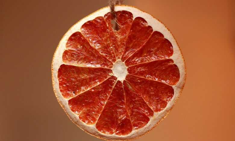 orange, slice, dried