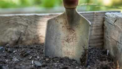 garden, spade, soil