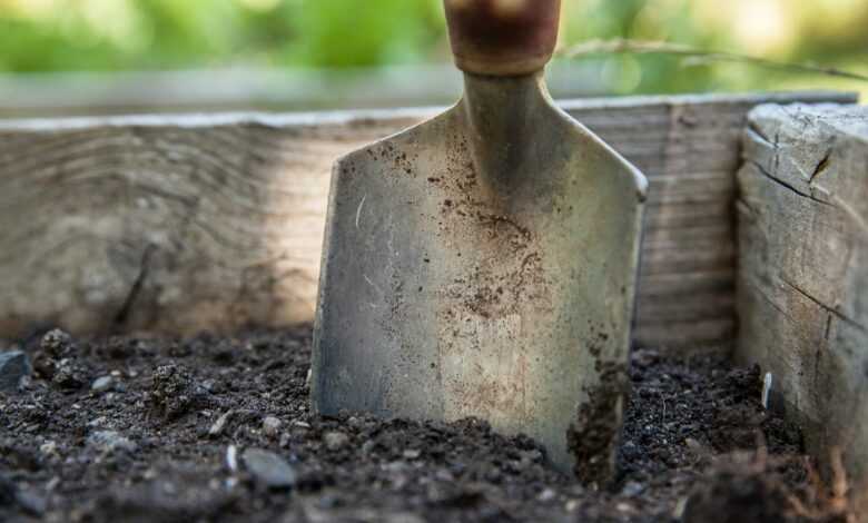 garden, spade, soil