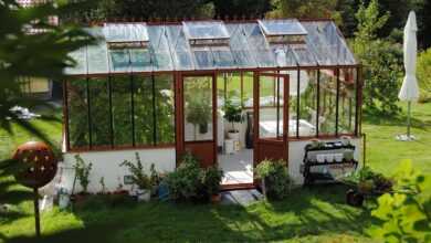 greenhouse, summer, grow