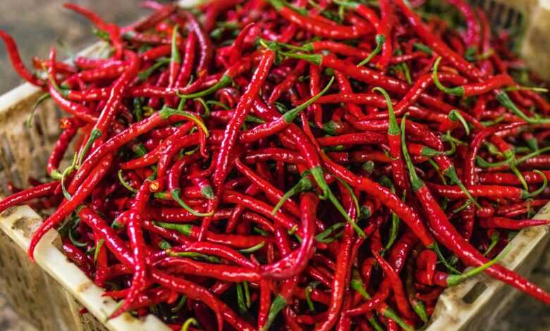 red chilies