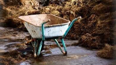 work, transport, wheelbarrow