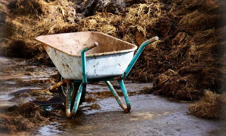 work, transport, wheelbarrow