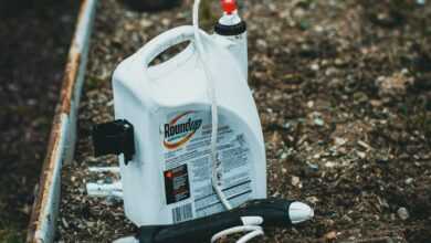 Fertilizer in a Container on the Soil in the Garden