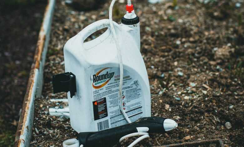 Fertilizer in a Container on the Soil in the Garden