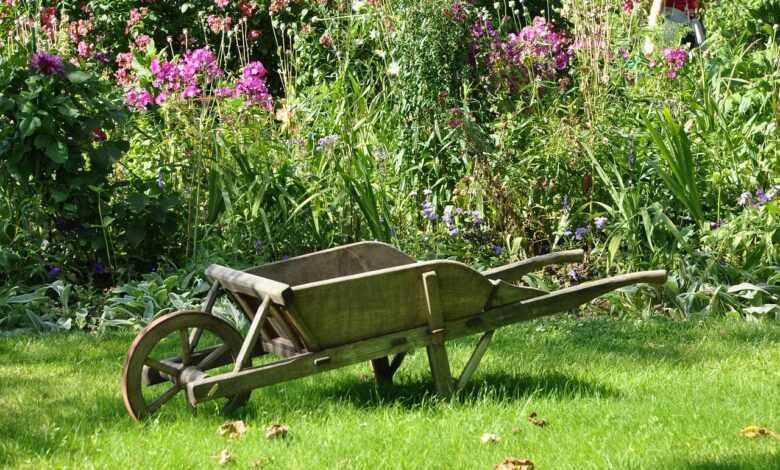 wheelbarrow, garden, vegetable garden