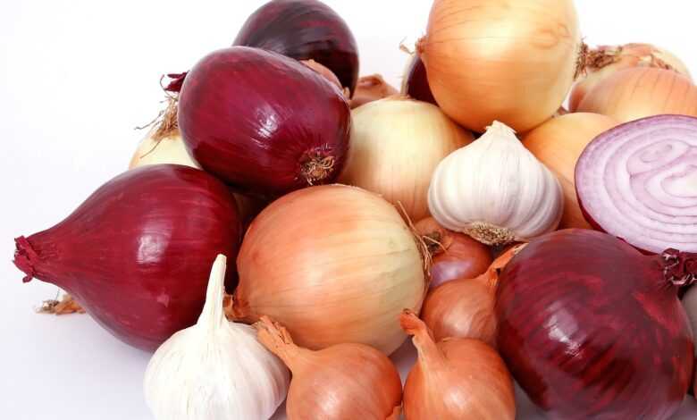 onions, garlic, vegetables