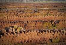 peat, peat cutting, potting soil, peat slabs, raised bog peat, peat, peat, peat, peat, peat