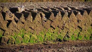 peat, peat cutting, potting soil, peat slabs, raised bog peat, peat, peat, peat, peat, peat