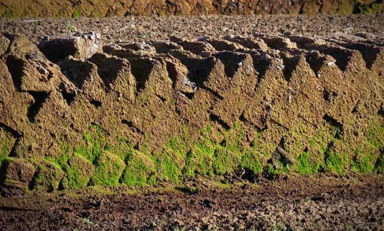 peat, peat cutting, potting soil, peat slabs, raised bog peat, peat, peat, peat, peat, peat
