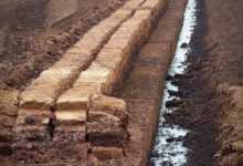 peat, peat cutting, potting soil, peat slabs, raised bog peat, peat, peat, peat, peat, peat