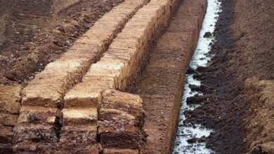 peat, peat cutting, potting soil, peat slabs, raised bog peat, peat, peat, peat, peat, peat
