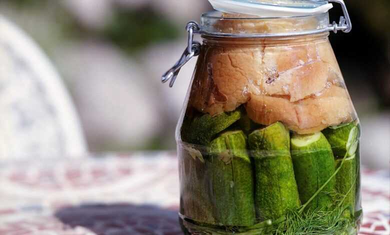 fermented, cucumber, glass, food, fermentation, vegetable, pickle, vegetarian, sour, organic, green, nutrition, traditional, fresh, homemade, eating, cooking, jar, ingredient, ferment, salted, natural, souring, fermented, fermentation, fermentation, fermentation, fermentation, fermentation