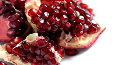 fruit, pomegranate, red