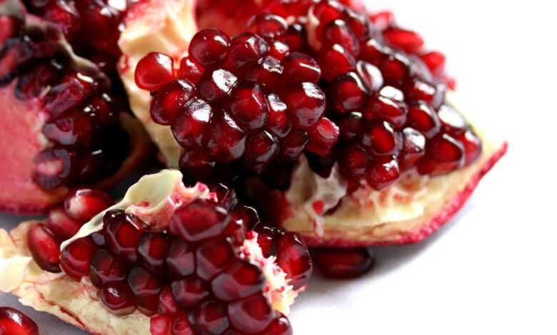 fruit, pomegranate, red