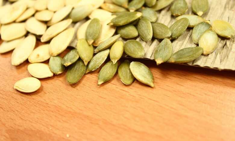 pumpkin seeds, seed, vegetable