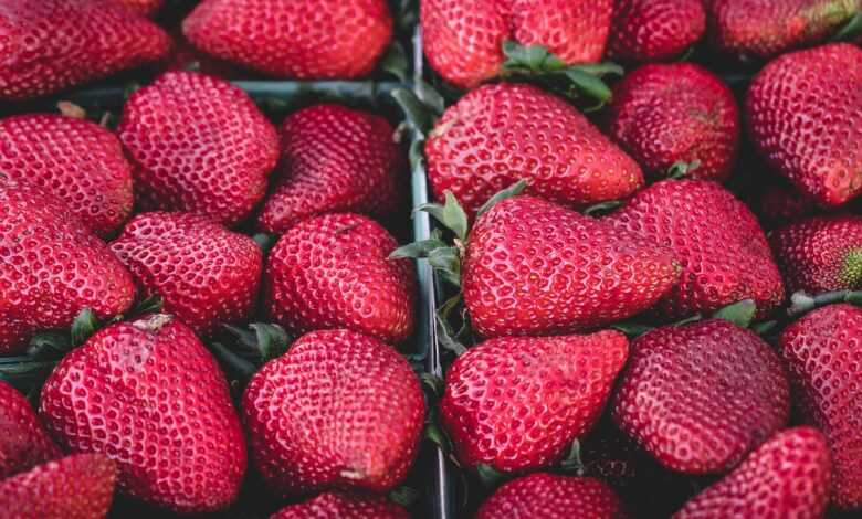 strawberries, fruits, red