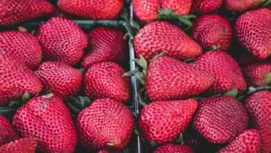 strawberries, fruits, red