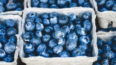 blueberries, bunch, berries