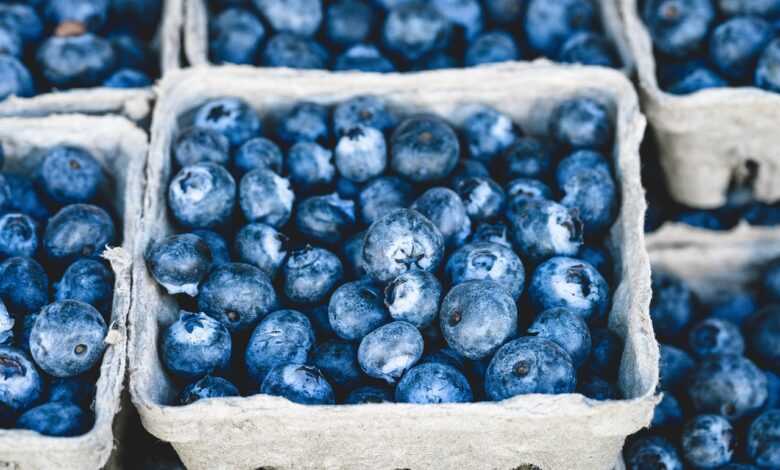 blueberries, bunch, berries