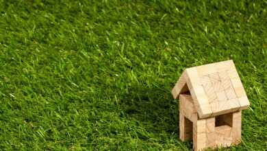 house, structure, nature, real estate, concept, building, residential, architecture, roof, wooden house, hut, log cabin, grass, meadow, artificial turf, property, rent, lease, loan, investment, mortgage, apartments for rent