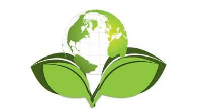 earth, globe, birth, new, develop, environment, environmental protection, environmentally friendly, leaf, green, plant, eco, bio, ecology, to protect, responsibility, world, globalization, world map, planet, global, international, nature, worldwide, continents, countries, country, states, worldview, map, symbol, politics, news