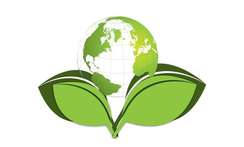 earth, globe, birth, new, develop, environment, environmental protection, environmentally friendly, leaf, green, plant, eco, bio, ecology, to protect, responsibility, world, globalization, world map, planet, global, international, nature, worldwide, continents, countries, country, states, worldview, map, symbol, politics, news