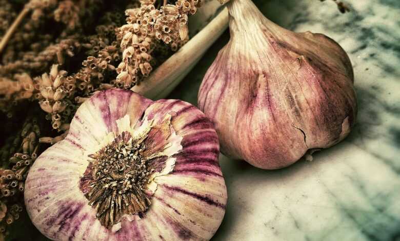 garlic, spice, ingredient