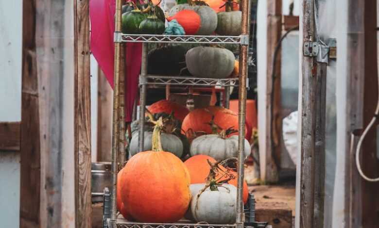 Gourd Vegetables on a Storage Steel Rack