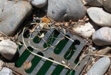 rocks, drain, grill, sewer, drainage, drain, drain, sewer, drainage, drainage, drainage, drainage, drainage