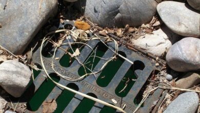 rocks, drain, grill, sewer, drainage, drain, drain, sewer, drainage, drainage, drainage, drainage, drainage