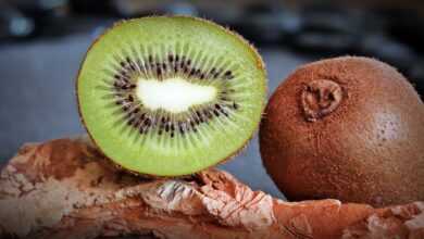 kiwi, fruit, healthy