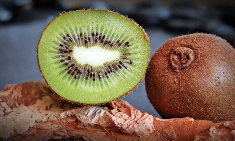 kiwi, fruit, healthy