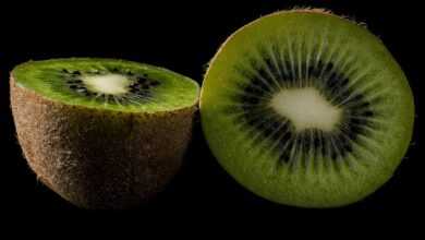 kiwi, fruit, fresh, slice, vitamins, healthy, eating, freshness, tropical, nature, kiwi, kiwi, kiwi, kiwi, kiwi
