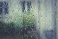 rain stoppers, hd wallpaper, water, window pane, 4k wallpaper, drip, drop of water, beautiful wallpaper, laptop wallpaper, wet, fogging, desktop backgrounds, nature wallpaper, wallpaper 4k, wallpaper hd, nature background, condensation, full hd wallpaper, window, 4k wallpaper 1920x1080, mac wallpaper, rain, windows wallpaper, spray, structure, nature, liquid, free wallpaper, transparent, cool backgrounds, free background, moisture, beautiful nature, wallpaper, zoom background
