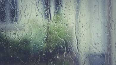 rain stoppers, hd wallpaper, water, window pane, 4k wallpaper, drip, drop of water, beautiful wallpaper, laptop wallpaper, wet, fogging, desktop backgrounds, nature wallpaper, wallpaper 4k, wallpaper hd, nature background, condensation, full hd wallpaper, window, 4k wallpaper 1920x1080, mac wallpaper, rain, windows wallpaper, spray, structure, nature, liquid, free wallpaper, transparent, cool backgrounds, free background, moisture, beautiful nature, wallpaper, zoom background
