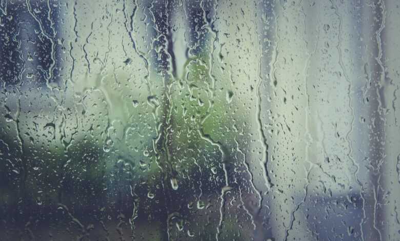 rain stoppers, hd wallpaper, water, window pane, 4k wallpaper, drip, drop of water, beautiful wallpaper, laptop wallpaper, wet, fogging, desktop backgrounds, nature wallpaper, wallpaper 4k, wallpaper hd, nature background, condensation, full hd wallpaper, window, 4k wallpaper 1920x1080, mac wallpaper, rain, windows wallpaper, spray, structure, nature, liquid, free wallpaper, transparent, cool backgrounds, free background, moisture, beautiful nature, wallpaper, zoom background